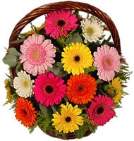 Ankara çiçek gönderme firmamızdan size özel  sepet içerisinde mevsim kır çiçekleri