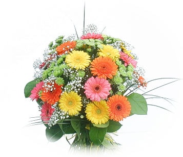 Ankara Demetevler Çiçekçi firma ürünümüz  karışık gerbera mevsim çiçek buketi
